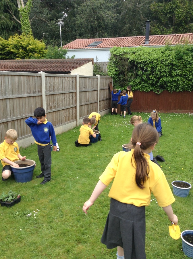 KS1 Planting - May 2023
